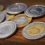 Co się dzieje z polską walutą?