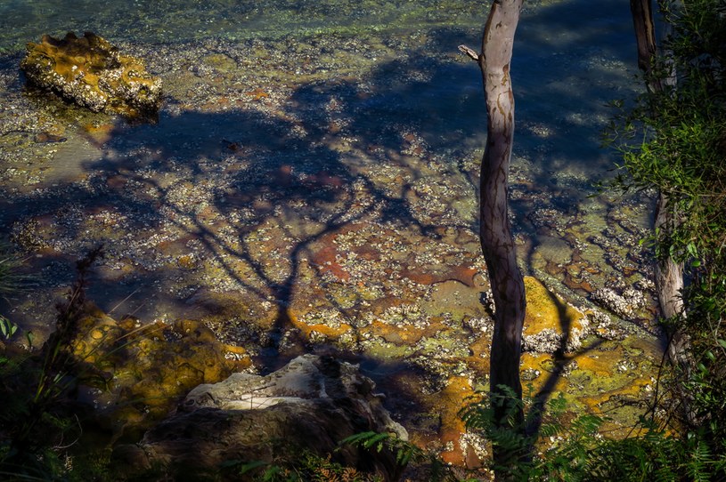 Co się stało z Australią? Nowy raport pokazuje szokujące zmiany klimatu