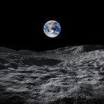 Co się stanie, gdy karaluchy zjedzą pył księżycowy? O testach po Apollo 11