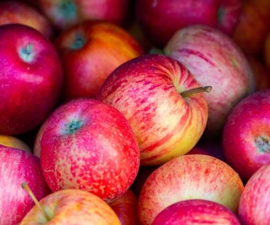Co się stanie, jeśli przez miesiąc, codziennie zjesz jedno jabłko? Efekt może zaskoczyć