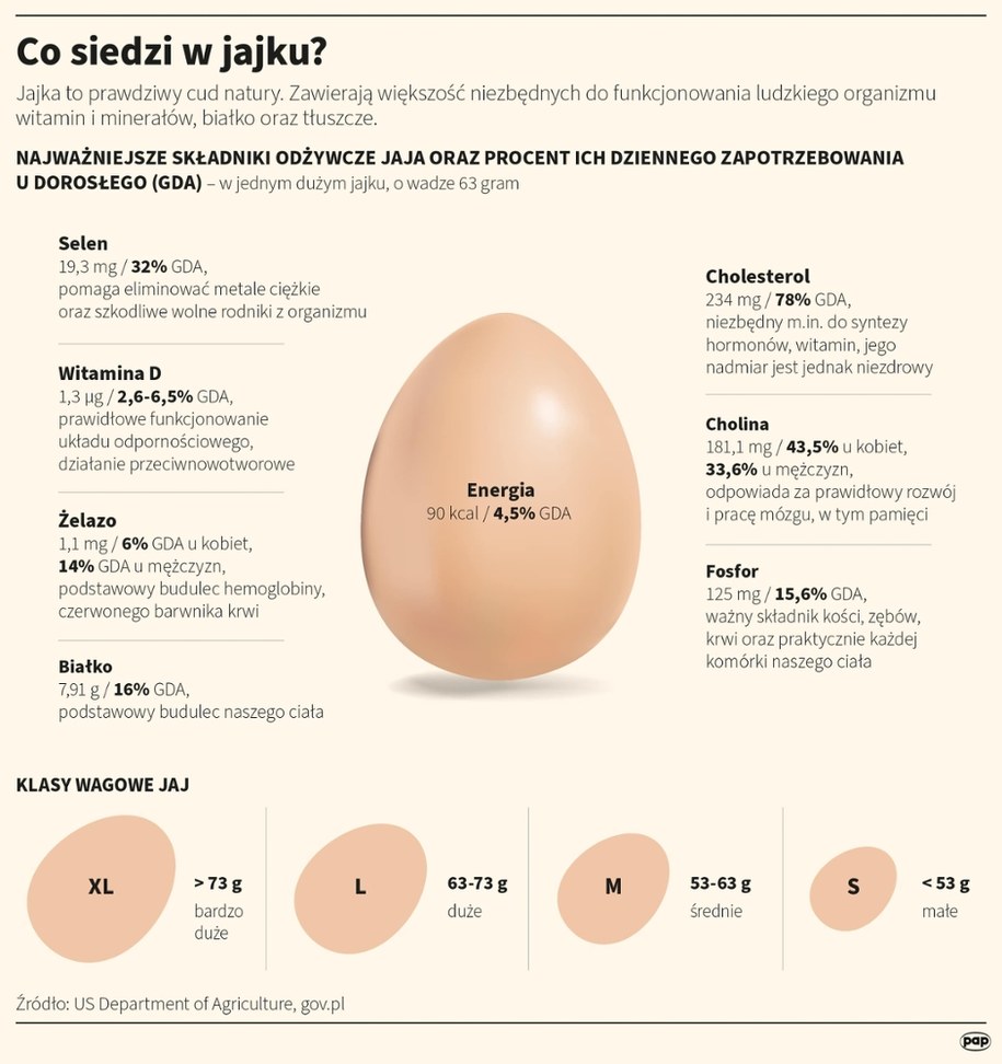 Co siedzi w jajku? /Maria Samczuk, Małgorzata Latos, Mateusz Krymski /PAP