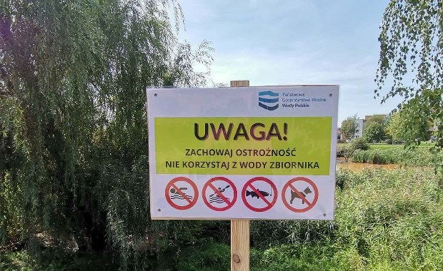 Co skaziło wodę w jeziorku Słonecznym? Znamy szczegółowe wyniki badań