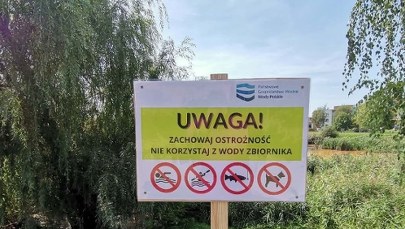 Co skaziło wodę w jeziorku Słonecznym? Znamy szczegółowe wyniki badań