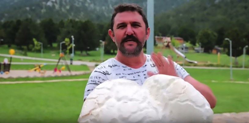 Co stanie się z ogromnym tombakiem? Odpowiedź jest prosta: zostanie zjedzony! /East News
