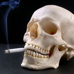 Co tak naprawdę siedzi w paczce papierosów?