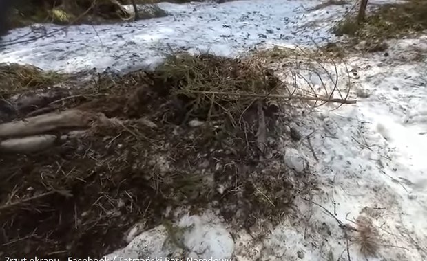 Co to za miejsce? Wyjaśnia leśniczy z Morskiego Oka