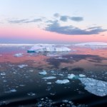 Co trzy lata znika lód wielkości Los Angeles. Alarmujące dane z Antarktydy