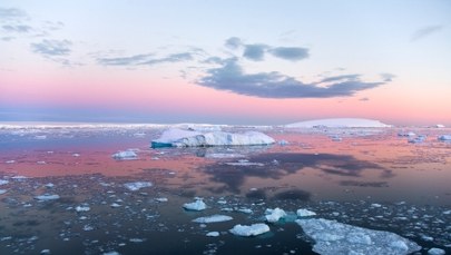 Co trzy lata znika lód wielkości Los Angeles. Alarmujące dane z Antarktydy