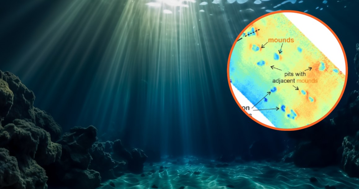 Co tworzy zagadkowe struktury na dnie Morza Północnego? /Schneider von Deimling et al., 2023. Millions of seafloor pits, not pockmarks, induced by vertebrates in the North Sea. Communications Earth & Environment volume 4, Article number: 478/ Open Access /123RF/PICSEL