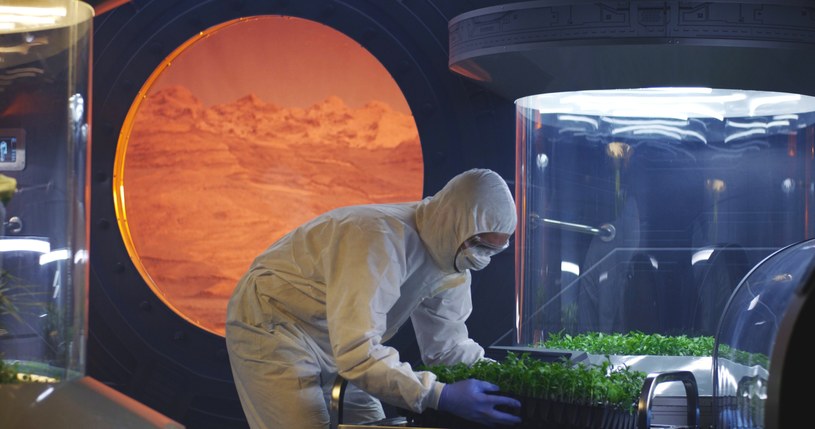 Co warto uprawiać na Marsie? Według naukowców najpierw lucernę, nie ziemniaki. Dlaczego? /123RF/PICSEL /123RF/PICSEL