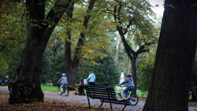 Co wpływa na nasze zdrowie? Czy wszystko zależy od nas samych?