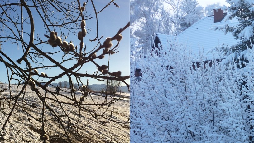 Co wygra - zima czy wiosna? /INTERIA.PL