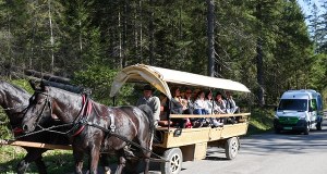 Co z dorożkami nad Morskie Oko? Nowy komunikat TPN-u