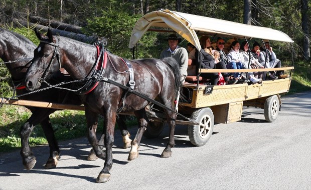 Co z dorożkami nad Morskie Oko? Nowy komunikat TPN-u