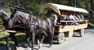 Co z dorożkami nad Morskie Oko? Nowy komunikat TPN-u