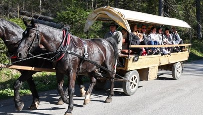Co z dorożkami nad Morskie Oko? Nowy komunikat TPN-u