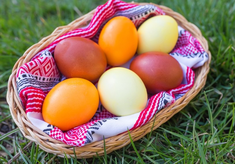 Co zawiera żółtko jaja kurzego i dlaczego warto je podawać psu? /123RF/PICSEL