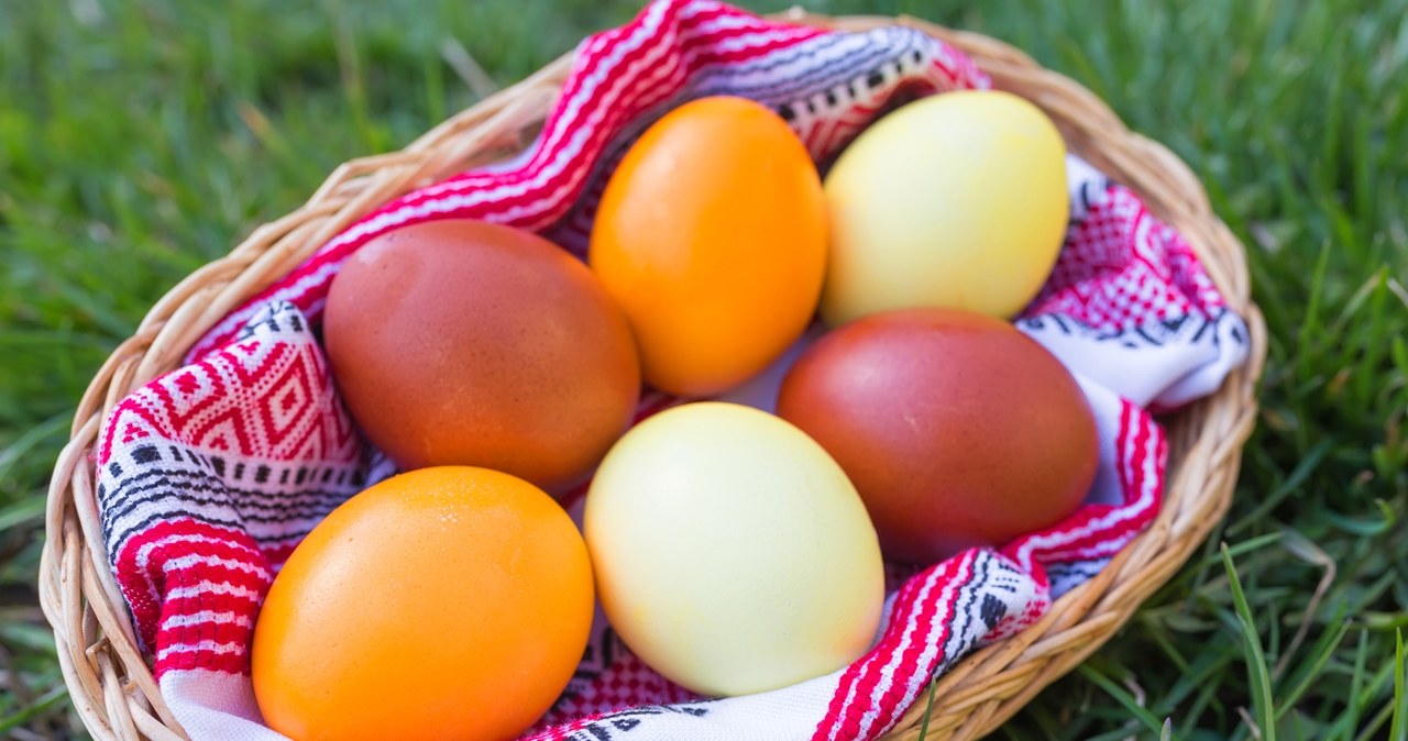Co zawiera żółtko jaja kurzego i dlaczego warto je podawać psu? /123RF/PICSEL