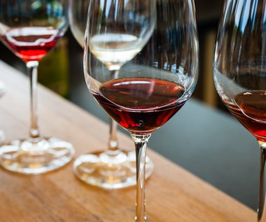 Co zmieni nowa ustawa winiarska?