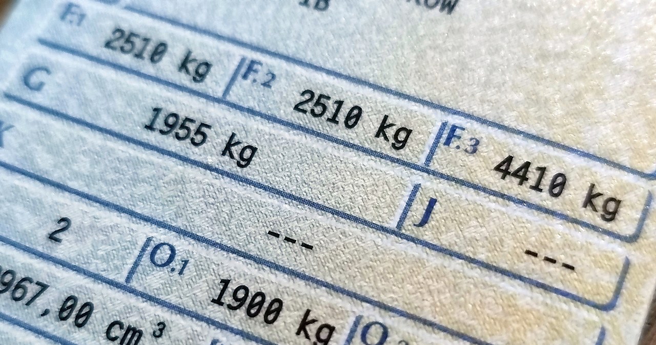 Co znaczą pola F.1 i F.2 w dowodzie rejestracyjnym? /Michał Janiszyn /INTERIA.PL