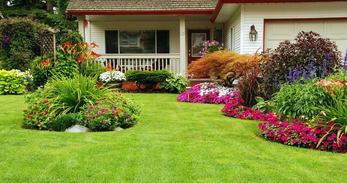 Co zrobić, by cieszyć się pięknym trawnikiem? /123RF/PICSEL