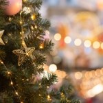 Co zrobić z choinką po świętach? Brytyjczycy wpadli na pewien pomysł