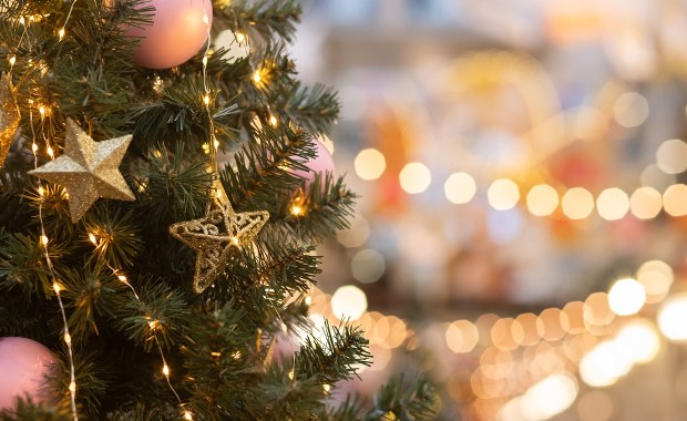 Co zrobić z choinką po świętach? Brytyjczycy wpadli na pewien pomysł