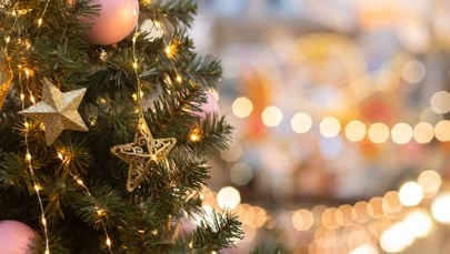 Co zrobić z choinką po świętach? Brytyjczycy wpadli na pewien pomysł