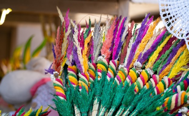 ​Co zrobić z palmą po Wielkanocy? Odpowiedź jest nieoczywista