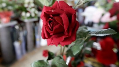 Coach miłości radzi: Uśmiech ważniejszy niż pierwsze słowo