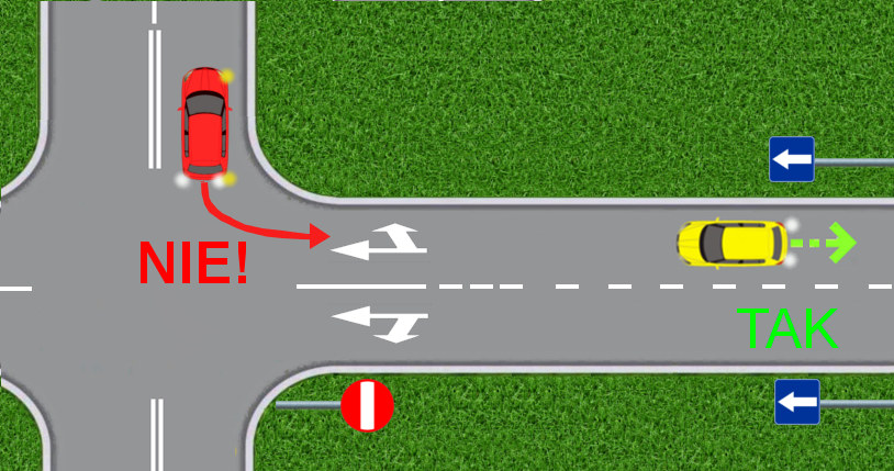 Cofanie w drogę jednokierunkową - takie "oszukiwanie systemu" nie jest dozwolone /INTERIA.PL