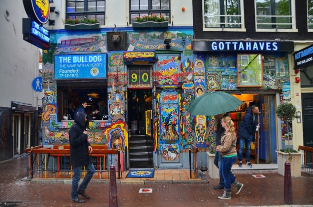 Coffeshop w Amsterdamie /Shutterstock