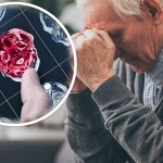 Cofnęli Alzheimera u myszy i przywrócili im pamięć. Zadziała też u ludzi?