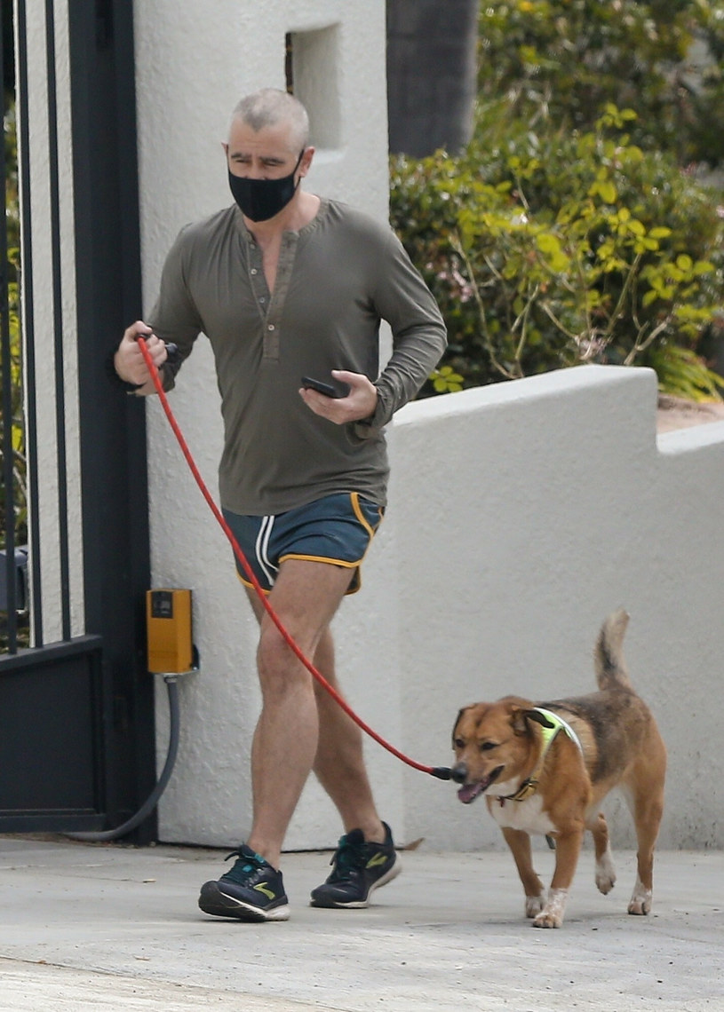 Colin Farrell na spacerze z psem /ENAV, JOLA/Backgrid /East News