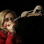 Dodo Colossal oznajmia: pokonaliśmy przeszkodę w odtworzeniu wymarłego gatunku