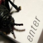 Conficker - najgroźniejszy robak świata