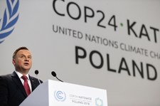 COP24: Zalesianie receptą na zmiany klimatyczne? Naukowiec ostro o polskiej propozycji