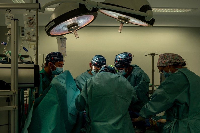 Coraz bliżej przełomu w transplantologii /AFP