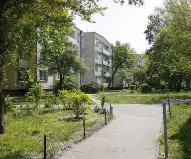 Coraz cieplejsze dni oznaczają, że kleszcze zaczynają się budzić. Pierwsze ostrzeżenia 