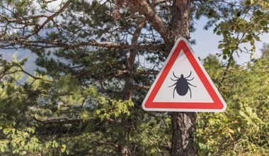 Coraz cieplejsze dni oznaczają, że kleszcze zaczynają się budzić. Pierwsze ostrzeżenia 