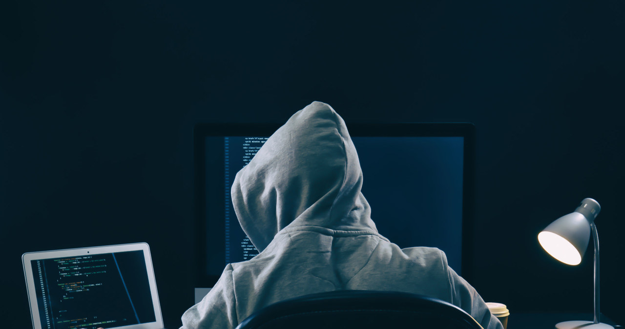 Coraz częstszym celem działania cyberprzestępcy jest wyłudzenie pieniędzy, ale powodem ataku może być też np. szpiegostwo. /123RF/PICSEL