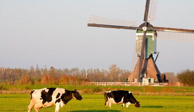 Coraz mniej chętnych z Europy Wschodniej do pracy w holenderskim rolnictwie i ogrodnictwie