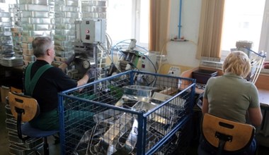 Coraz mniej ofert zatrudnienia. Czy to już alarm na rynku pracy? 