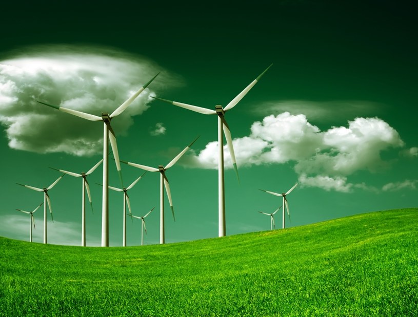 Coraz więcej firm chce przechodzić na zieloną energię... /123RF/PICSEL