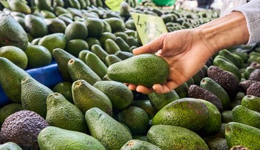 Coraz więcej krajowych bananów, mango i awokado we Włoszech to efekt zmian klimatycznych