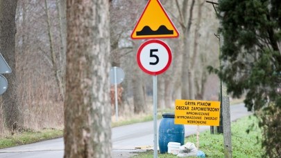 Coraz więcej ognisk ptasiej grypy w Polsce