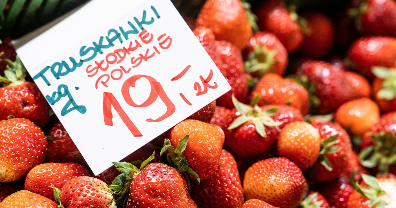 Coraz więcej polskich truskawek jest na rynku hurtowym w Broniszach /Magdalena Pasiewicz /East News