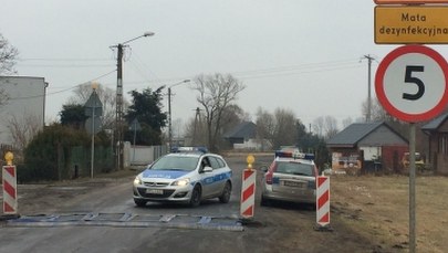Coraz więcej przypadków ptasiej grypy. Najwięcej w Wielkopolsce