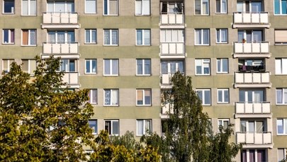 Coraz więcej singli, coraz mniej rodzin. Duża zmiana na mapie społecznej Polski