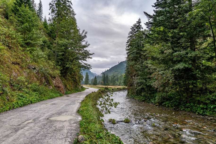 Wizerunek popularnego regionu cierpi na takim zachowaniu